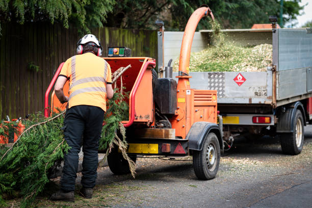 Best Grass Overseeding  in North Beach Haven, NJ